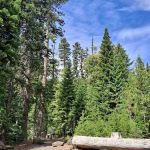 Pebble Ford Campground