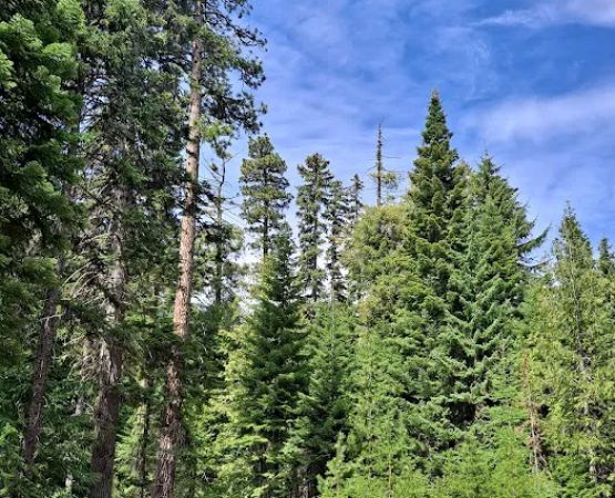 Pebble Ford Campground
