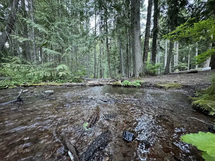 Pebble Ford Campground 8