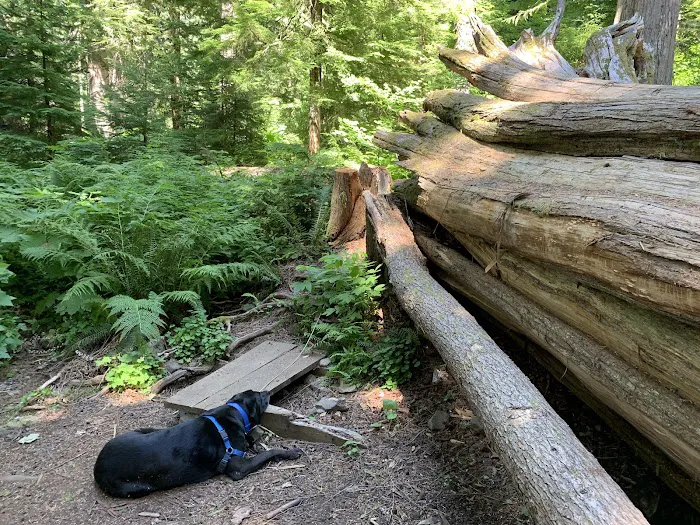 Lost Lake Campground F Loop First Come First Serve Sites 6