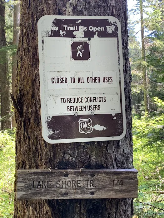 Lost Lake Organisation Camp 8