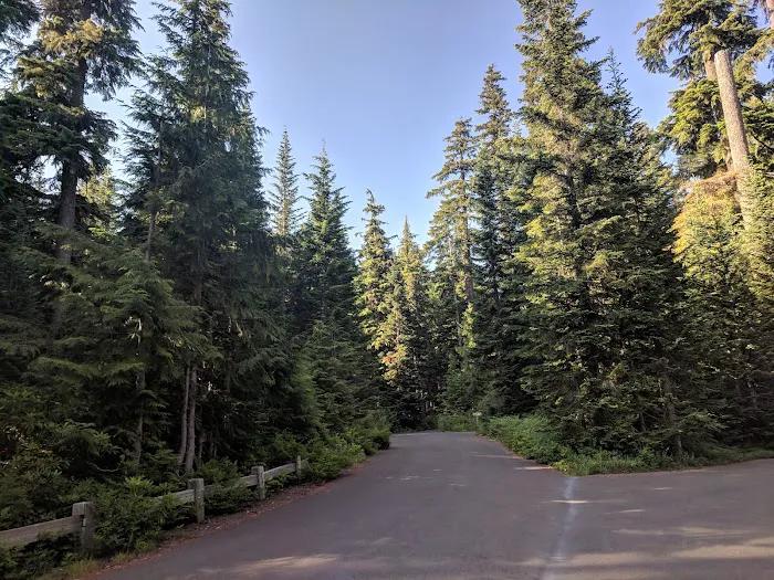 Lost Lake Organisation Camp 9