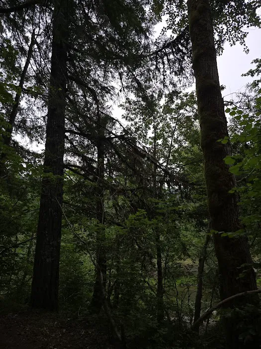 Beaver Campground 2