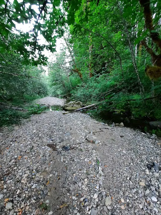 Beaver Campground 5