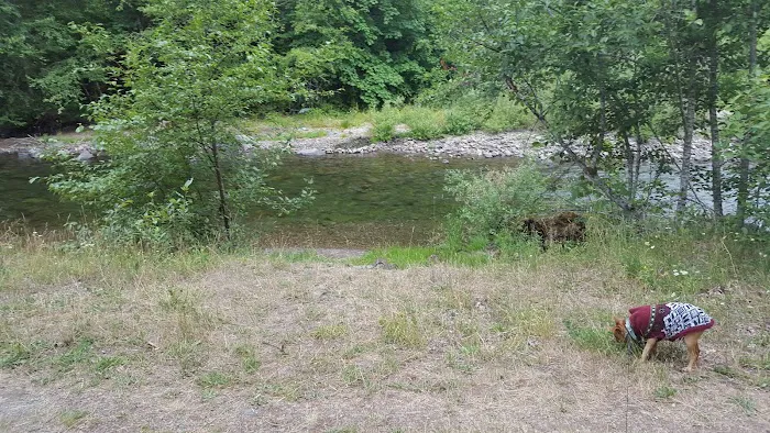 Beaver Campground 7