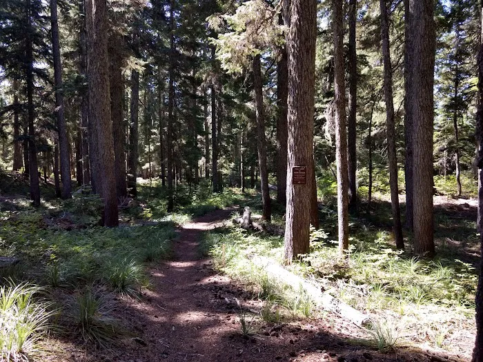 Campground: Crest Camp/Trailhead 9