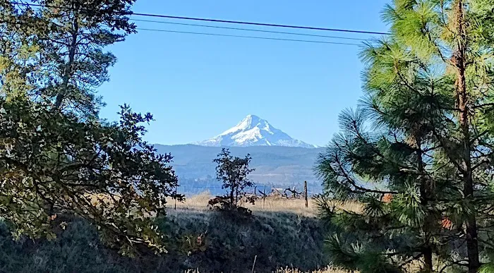 Harvest Haven Campground 5