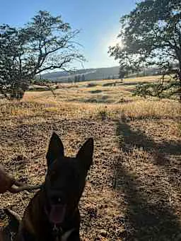 Harvest Haven Campground 6