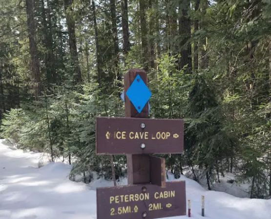 Atkisson Group Camp