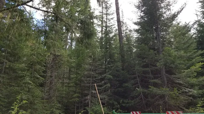 Atkisson Group Camp 6