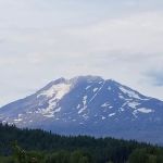 US Forestry Department