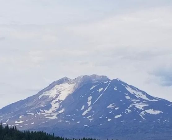 US Forestry Department