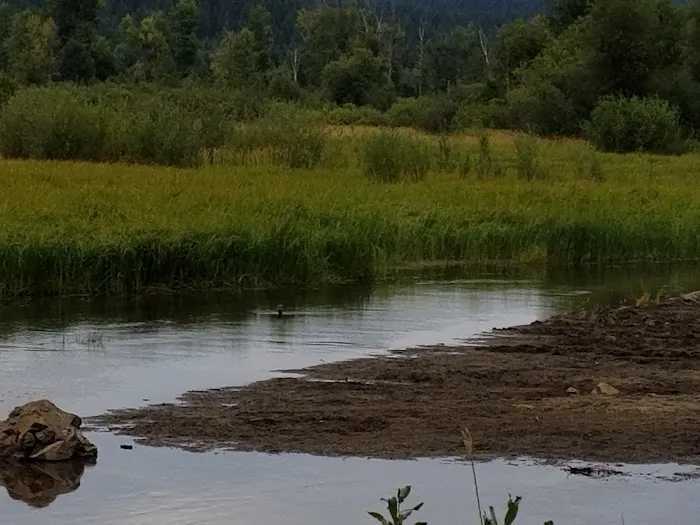 US Forestry Department 3