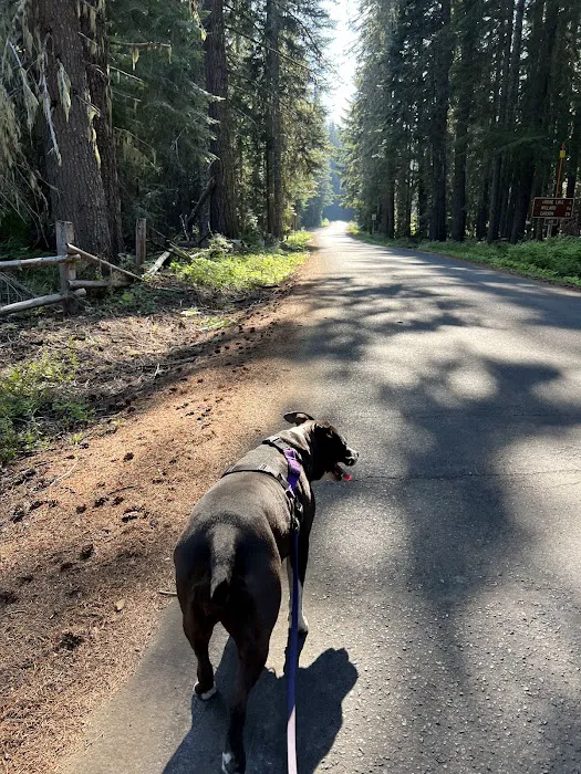 Peterson Prairie Campground 4