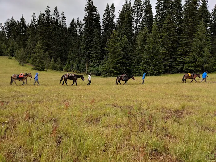 Horse Camp: Mt. Adams 0