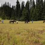 Horse Camp: Mt. Adams