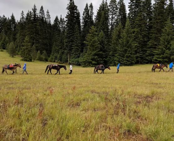 Horse Camp: Mt. Adams