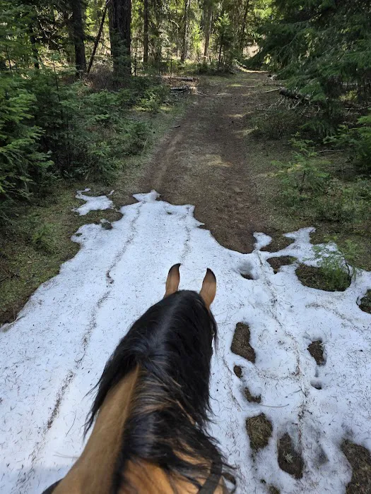 Horse Camp: Mt. Adams 3