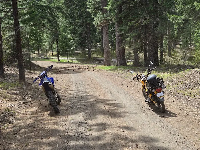 Horse Camp: Mt. Adams 4