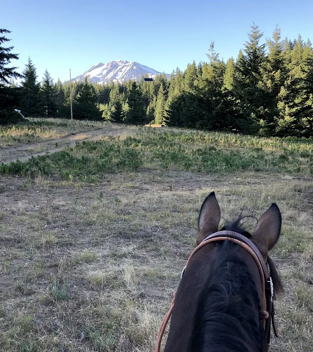 Horse Camp: Mt. Adams 5