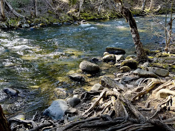 Trout Lake Creek Campground 2
