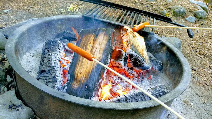 Trout Lake Creek Campground 6