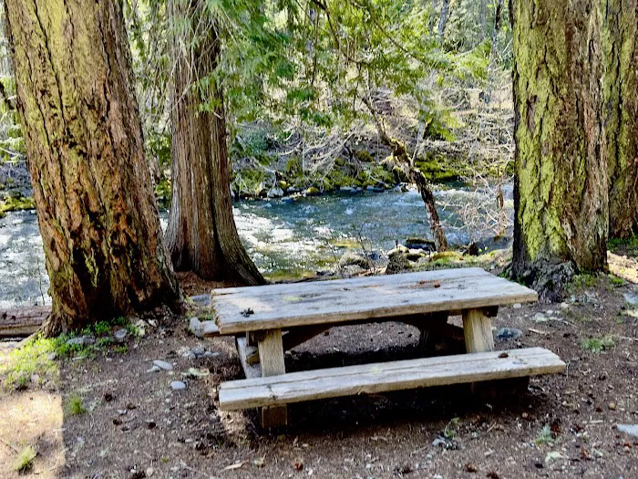 Trout Lake Creek Campground 3