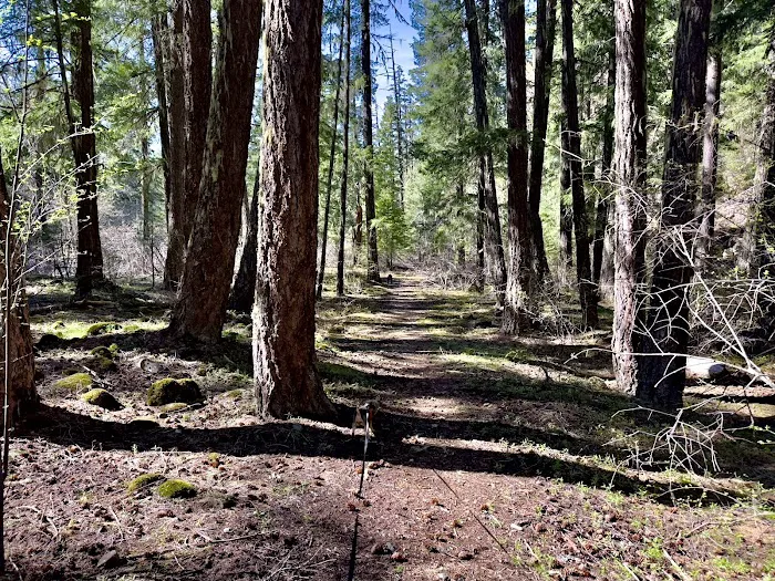 Trout Lake Creek Campground 7