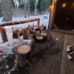 Campground: Wicky Shelter