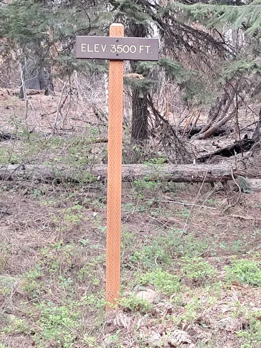 Campground: Wicky Shelter 6