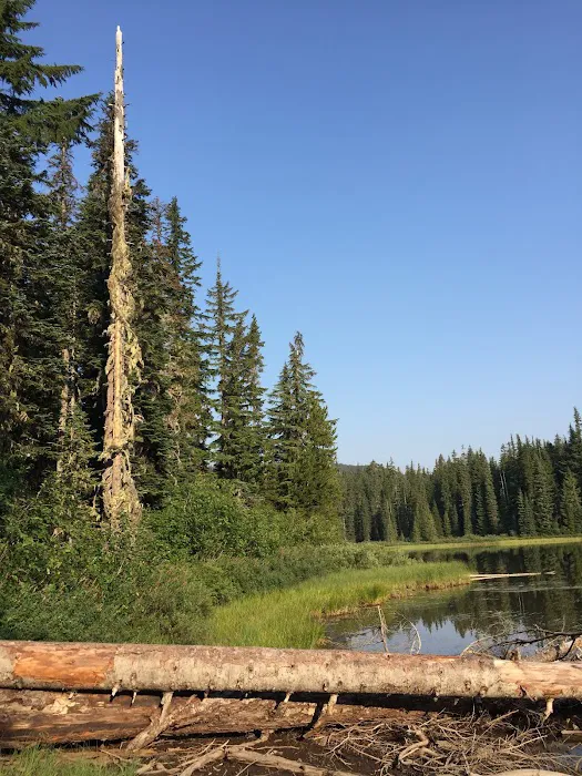Campground: Forlorn Lakes 2