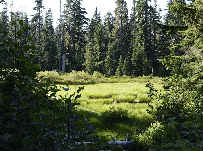 Campground: Forlorn Lakes 8
