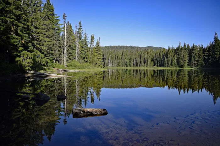 Campground: Forlorn Lakes 6