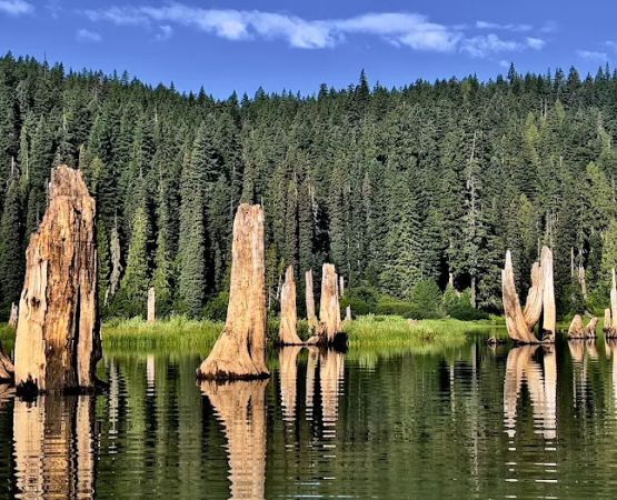 Goose Lake Campground