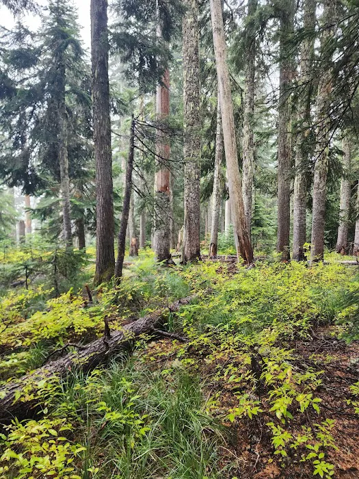 Goose Lake Campground 3