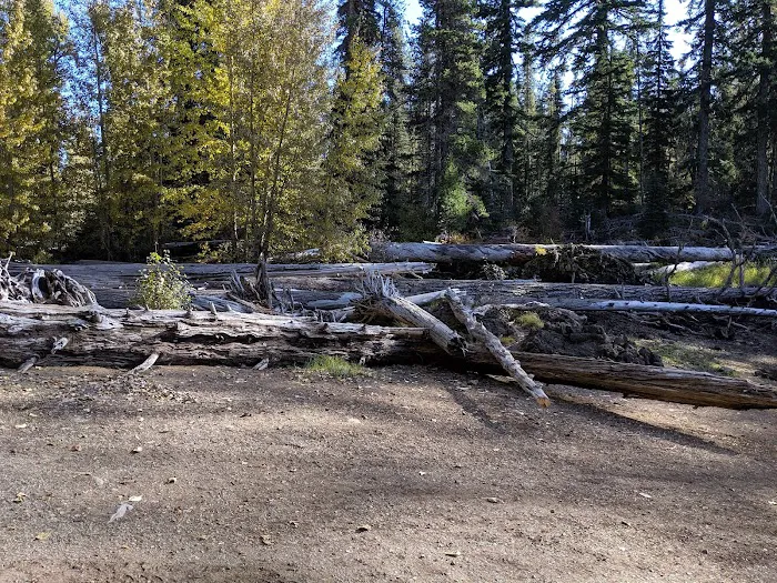 Goose Lake Campground 6
