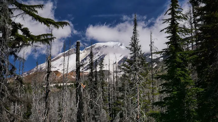Morrison Creek Campground 7