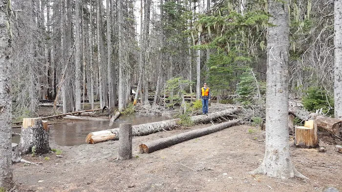 Morrison Creek Campground 8