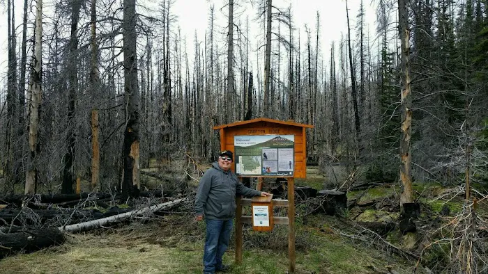 Morrison Creek Campground 6