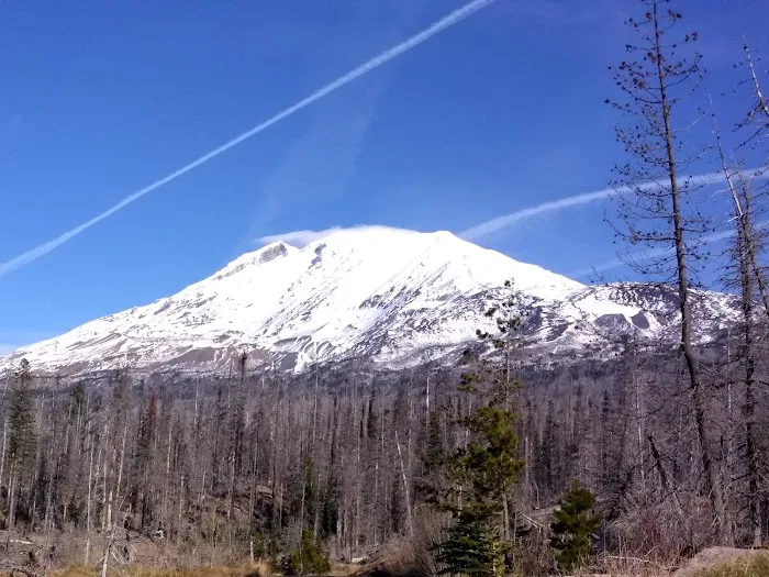 Morrison Creek Campground 4