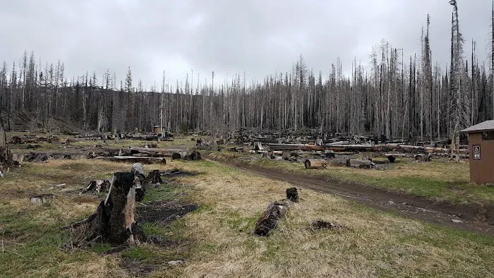 Morrison Creek Campground 3