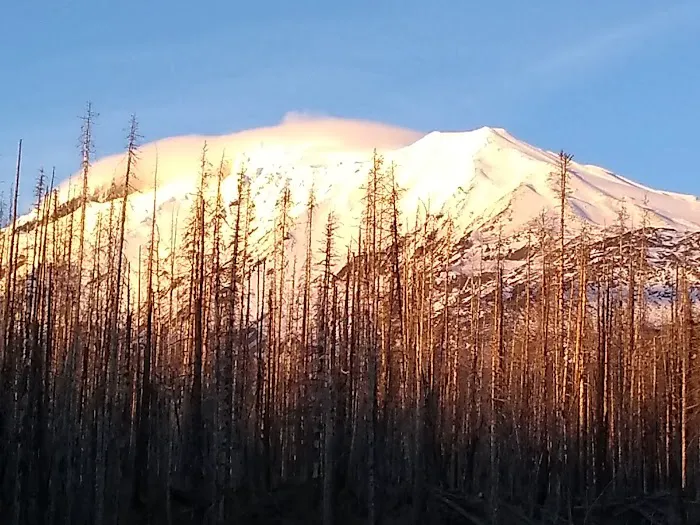 Morrison Creek Campground 0