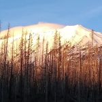 Morrison Creek Campground