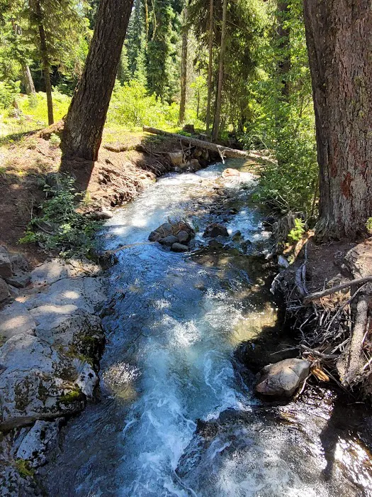 Island Campground 4