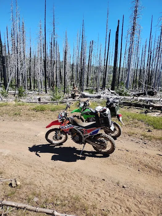 Island Campground 6