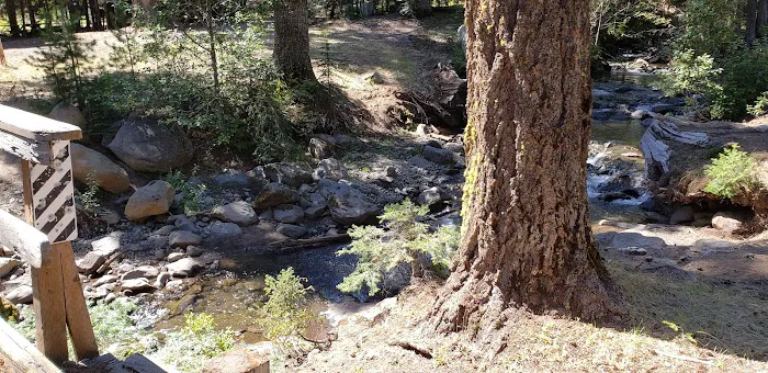 Island Campground 8
