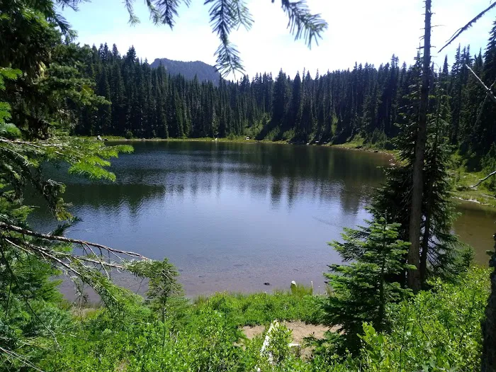 Cultus Creek Campground 4
