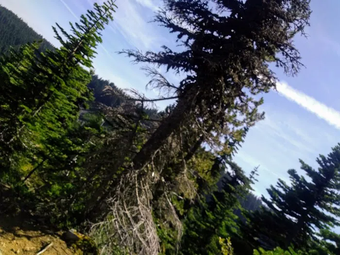 Cultus Creek Campground 1