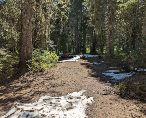 Cultus Creek Campground