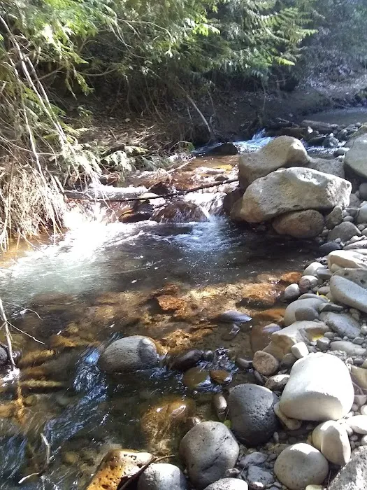 Bird Creek Campground 3